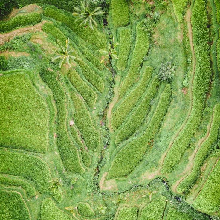 Outdoor terrace seating suitable for families in Springfield