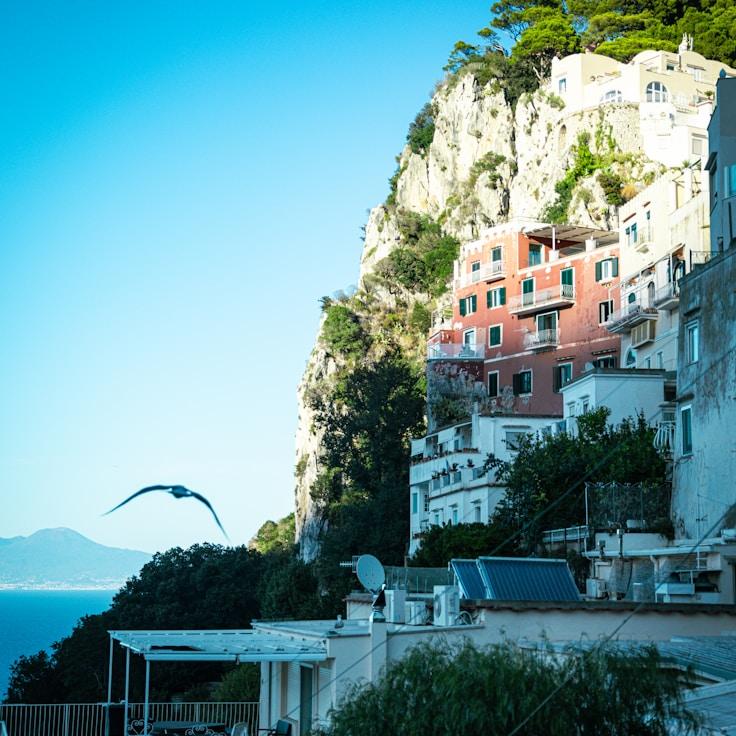 Family terraces and cafés for calm evenings in Springfield